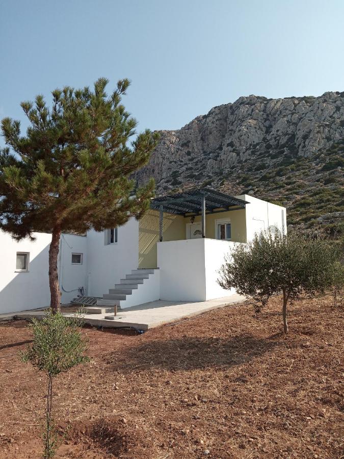 Albatros Studios & Apartments Lefkos  Esterno foto